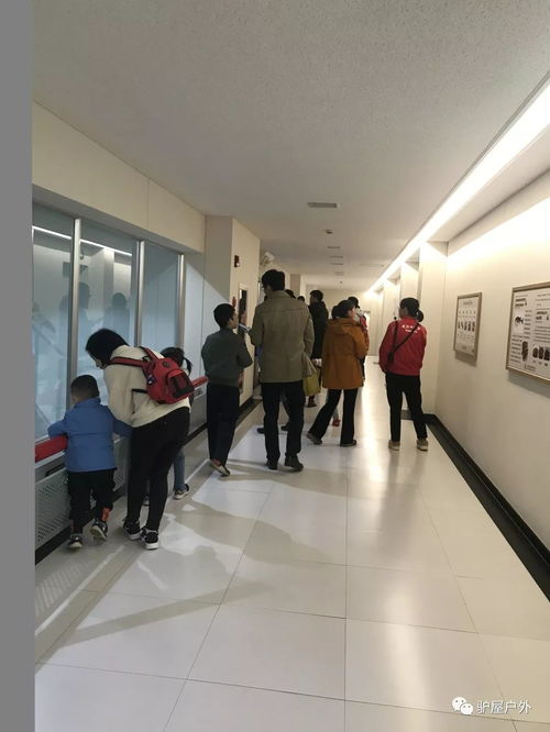 養(yǎng)樂多工廠探游 揭秘100億活性菌與健康住宿的雙重體驗(yàn)